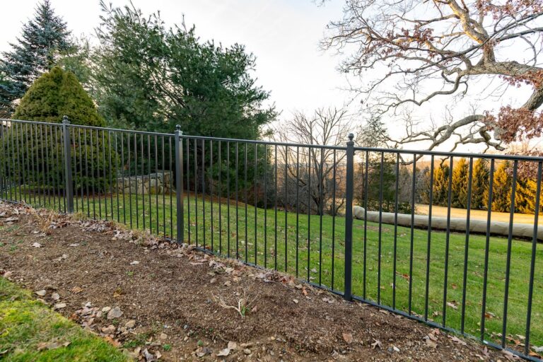 A short aluminum fence divides a patch of grass from a strip of bare dirt. There are evergreen trees in the background.