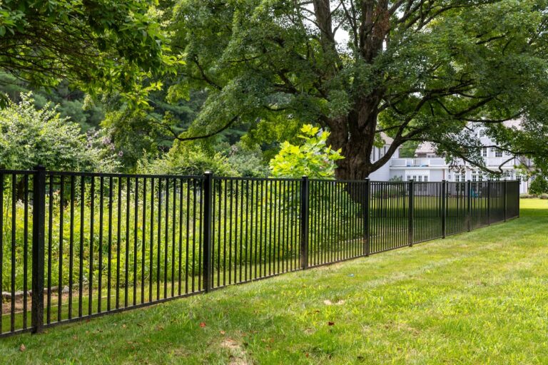 A black aluminum fence separates a patch of trees from a large green lawn.