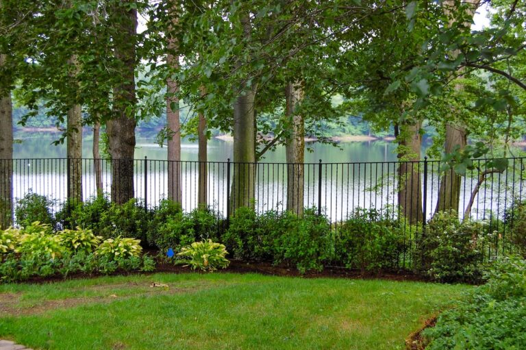 A metal fence with narrow gaps between vertical spindles stands between the viewer and a body of water. There are plants all around the base of the fence.