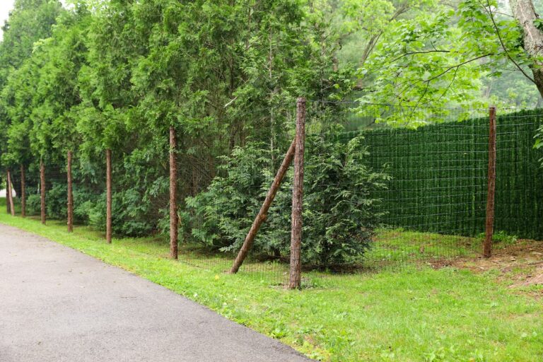 Tall wooden posts hold up a wire mesh fence.