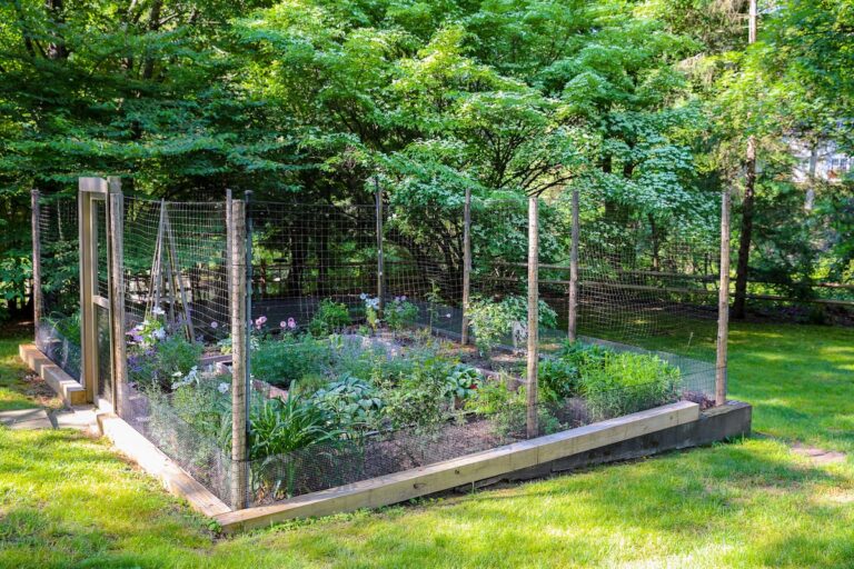 A minimal wire fence with wood posts surrounds a small flower garden.