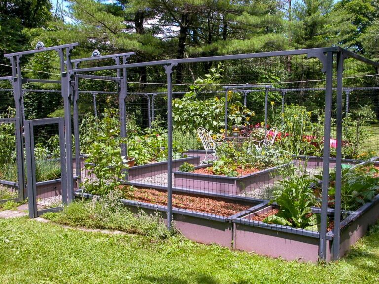 A tall deer fence with an inset gate surrounds a large garden made of raised beds.