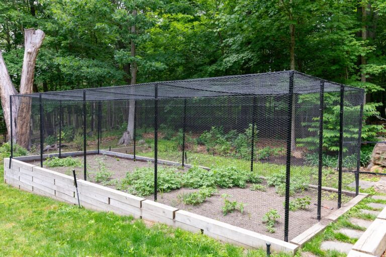 A wire mesh garden fence completely encloses a small area for planting.