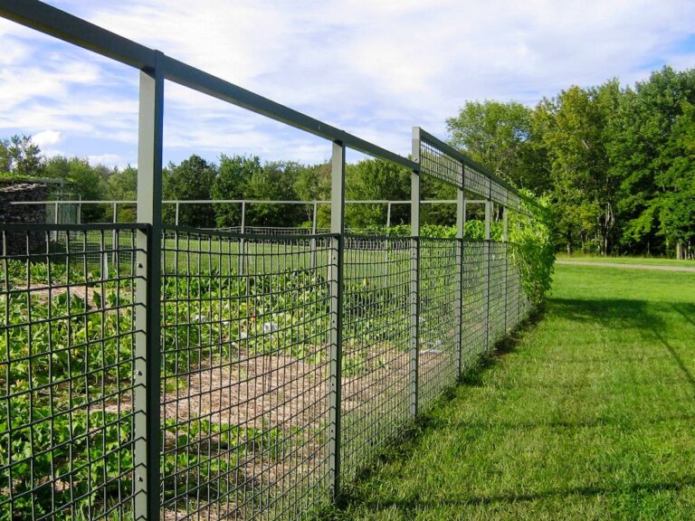 Tall metal garden fence