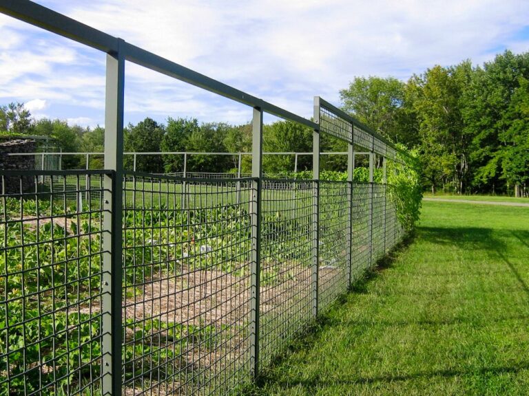 A tall fence surrounds a large garden plot. The metal mesh fence is supported by tall thin posts painted gray.