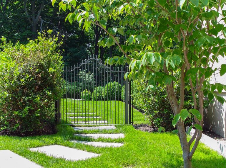 A metal fence gate with an ornamentally tiered arch in the middle allows passage between bushes from one part of the yard to another.