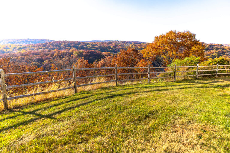Wood fence