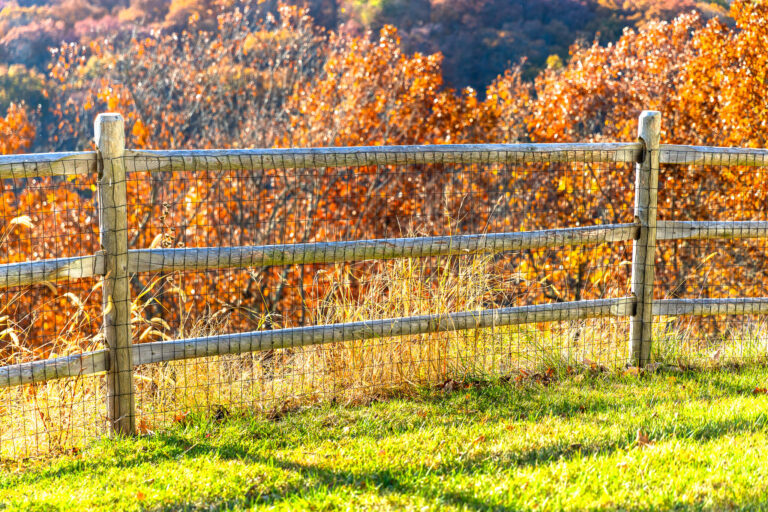 wood fence
