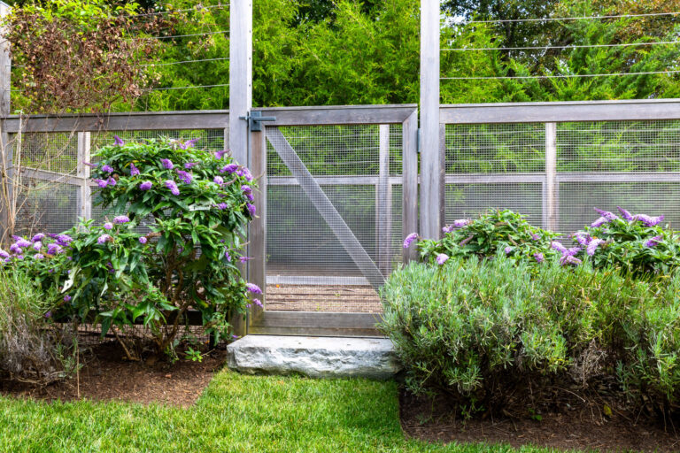 Garden Fence