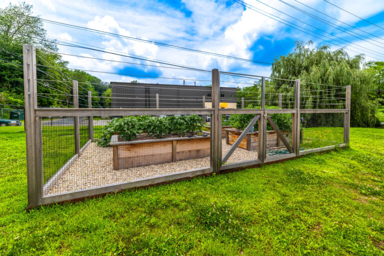 Garden Fence