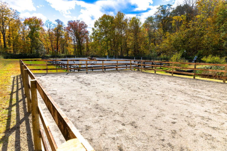 Wood fence