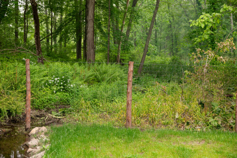 Deer fence