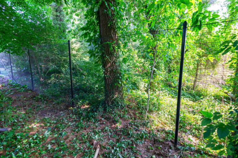 Deer fence