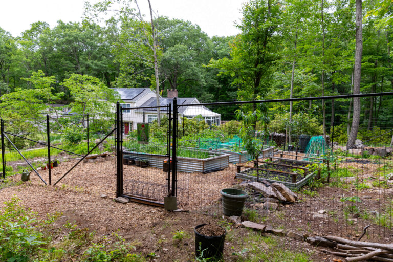 Garden Fence