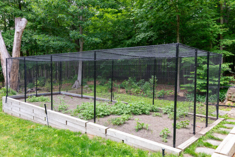 Garden Fence