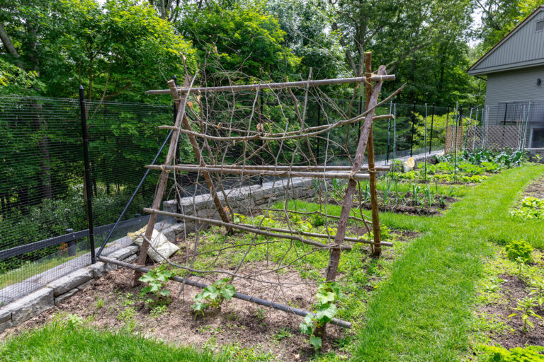 wood trellis