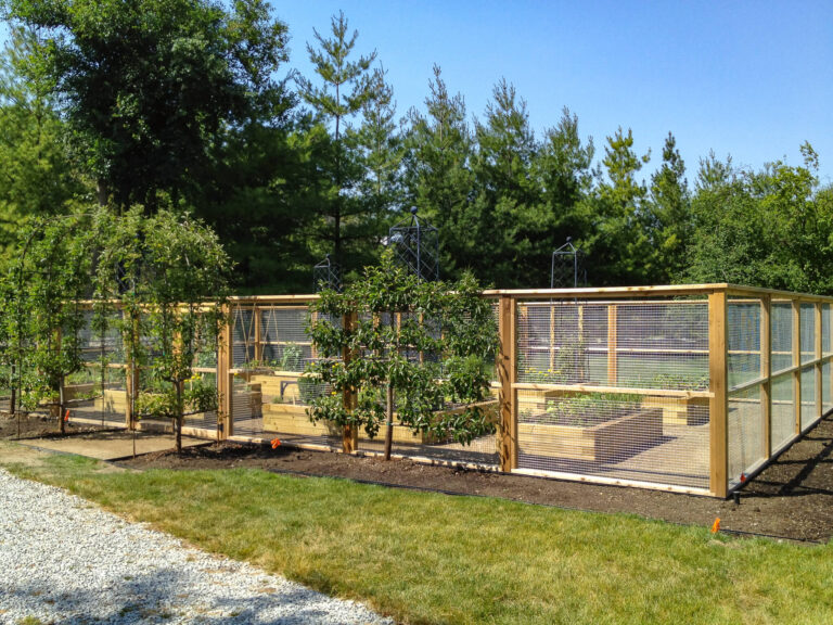 Garden Fence