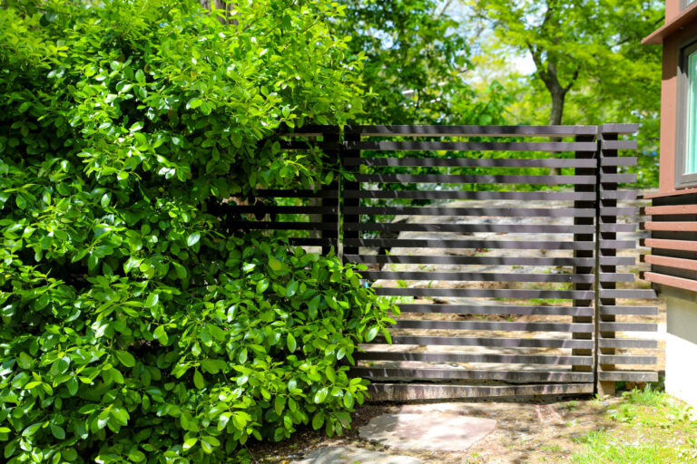 metal walk gate