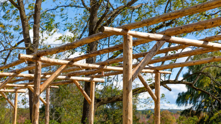 Pergola