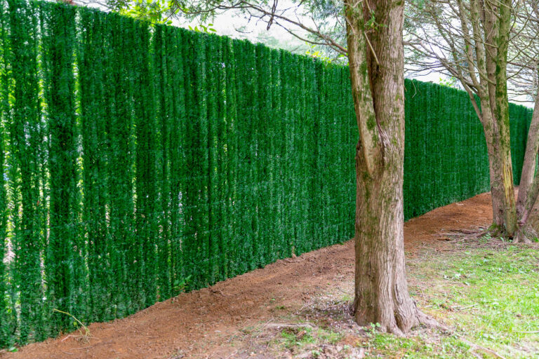 Privacy fence