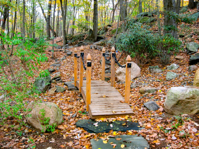 Bridge