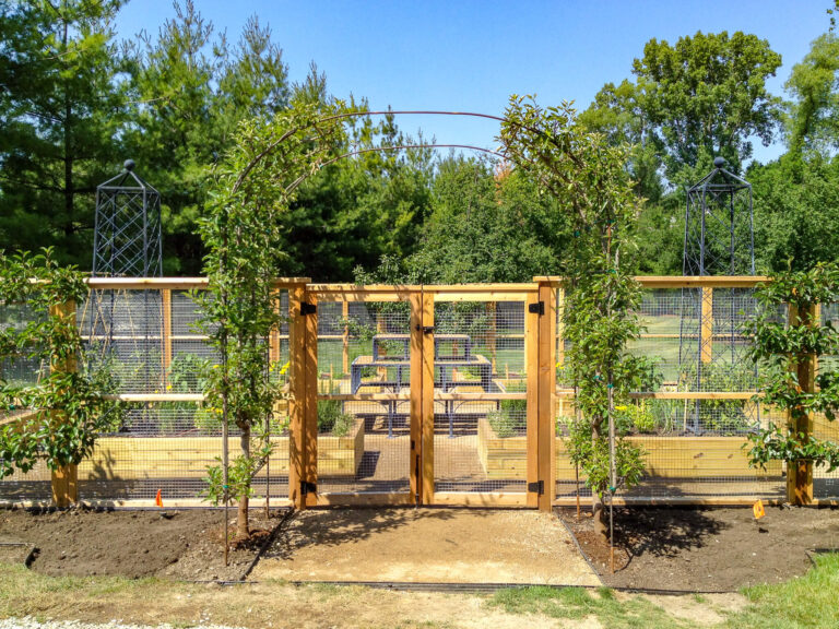 Garden Fence