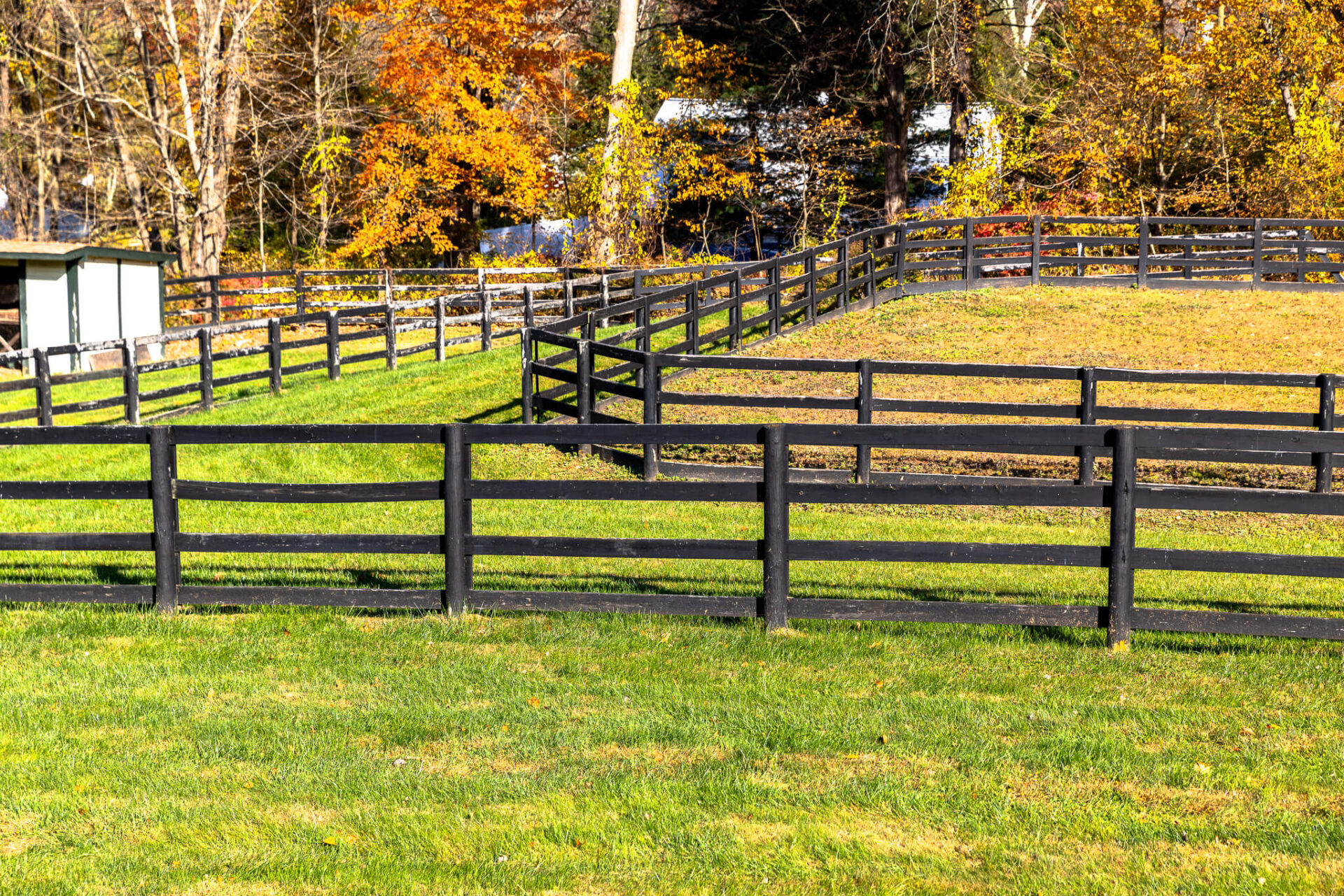 custom black horse fencing installation on a farm
