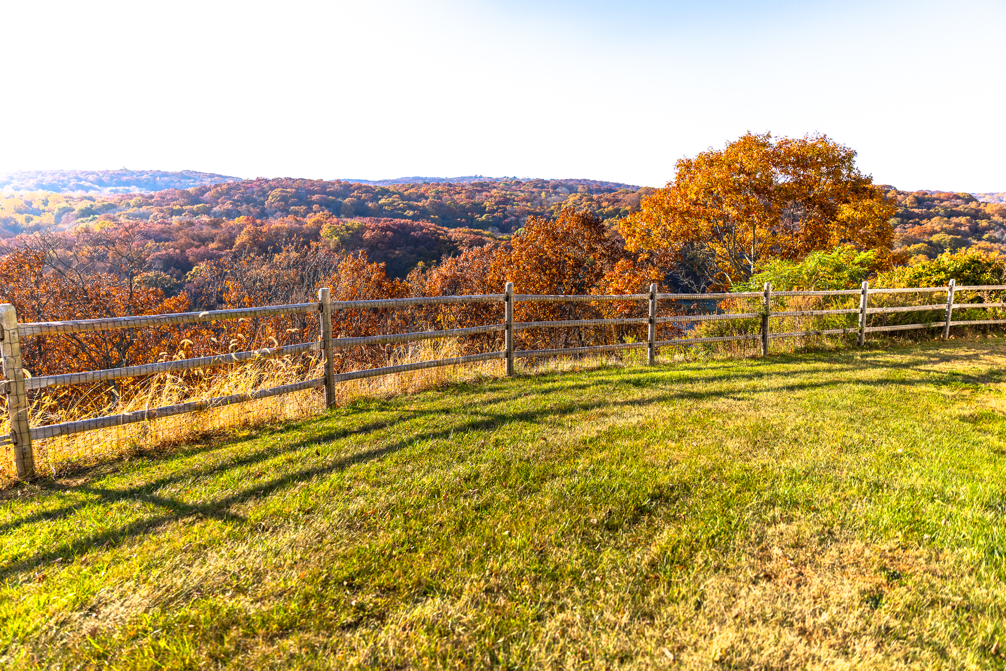 Mesh-Integrated Weathered Fence on Property Line