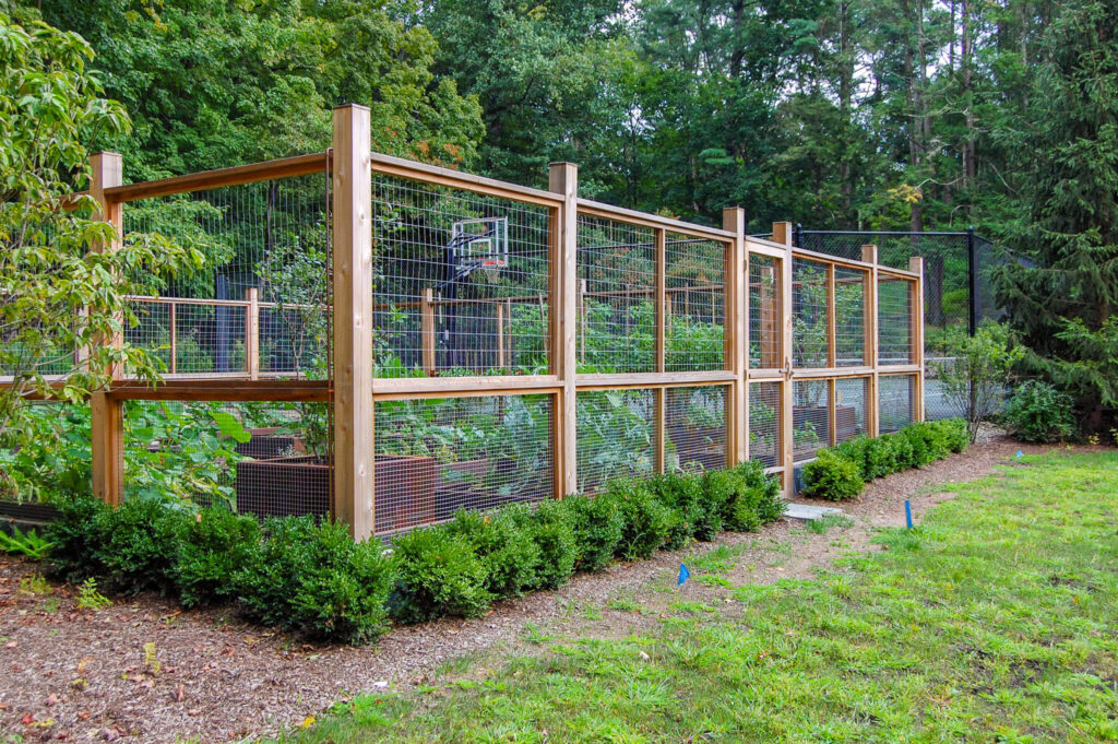 cedar wood garden fence with wire mesh netting