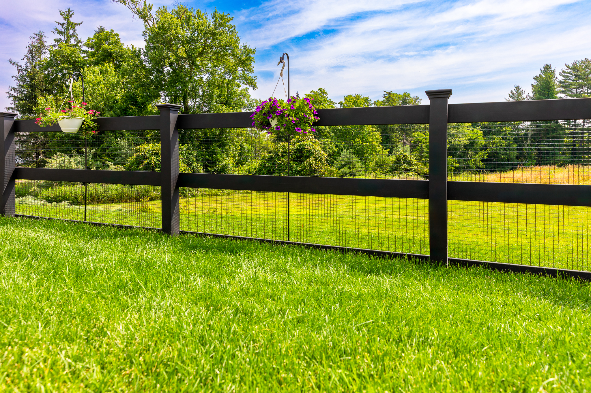 Bold Black Modern Ranch-Style Fence with Mesh