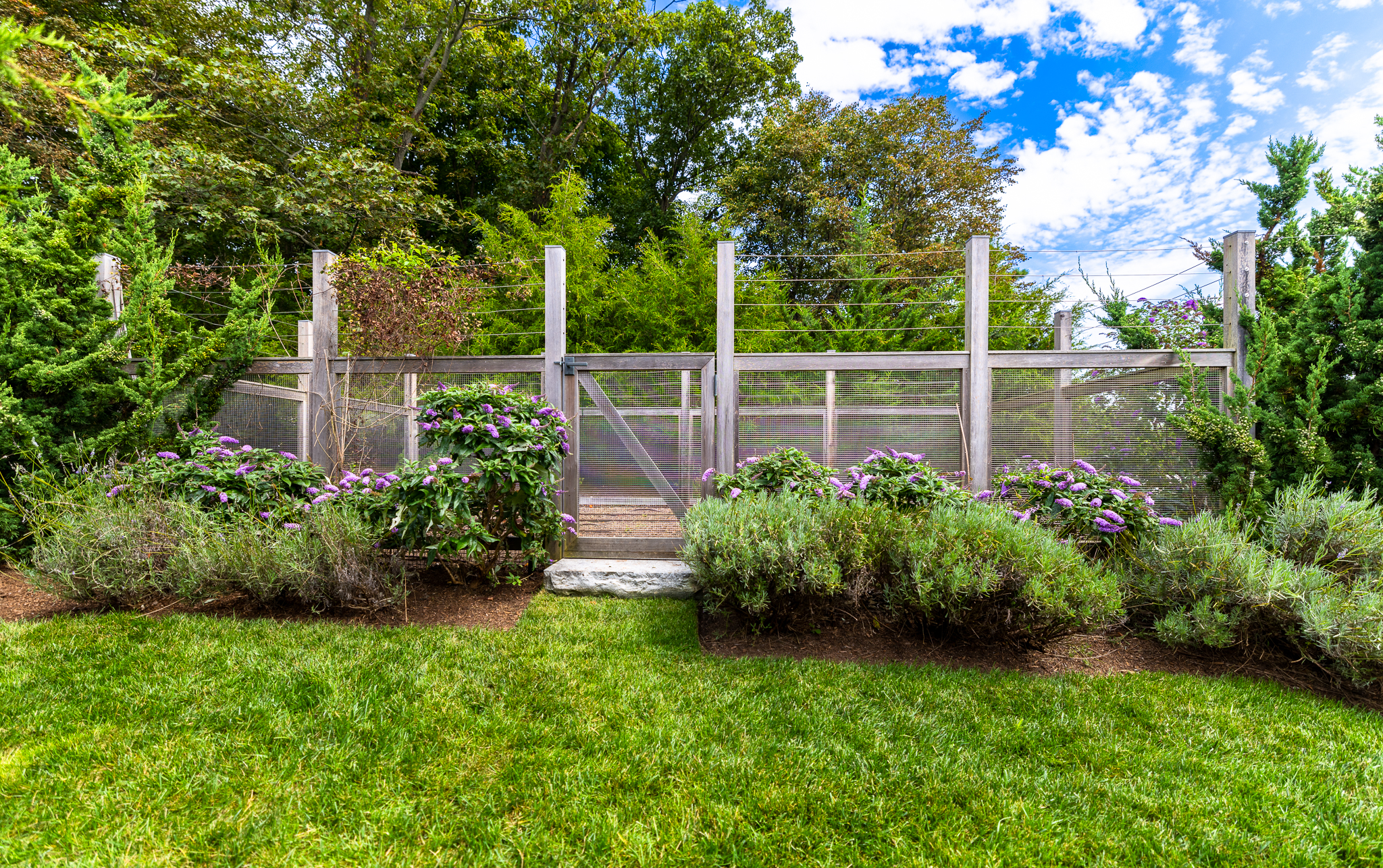 Protected Garden Sanctuary with Aged Cedar Fencing