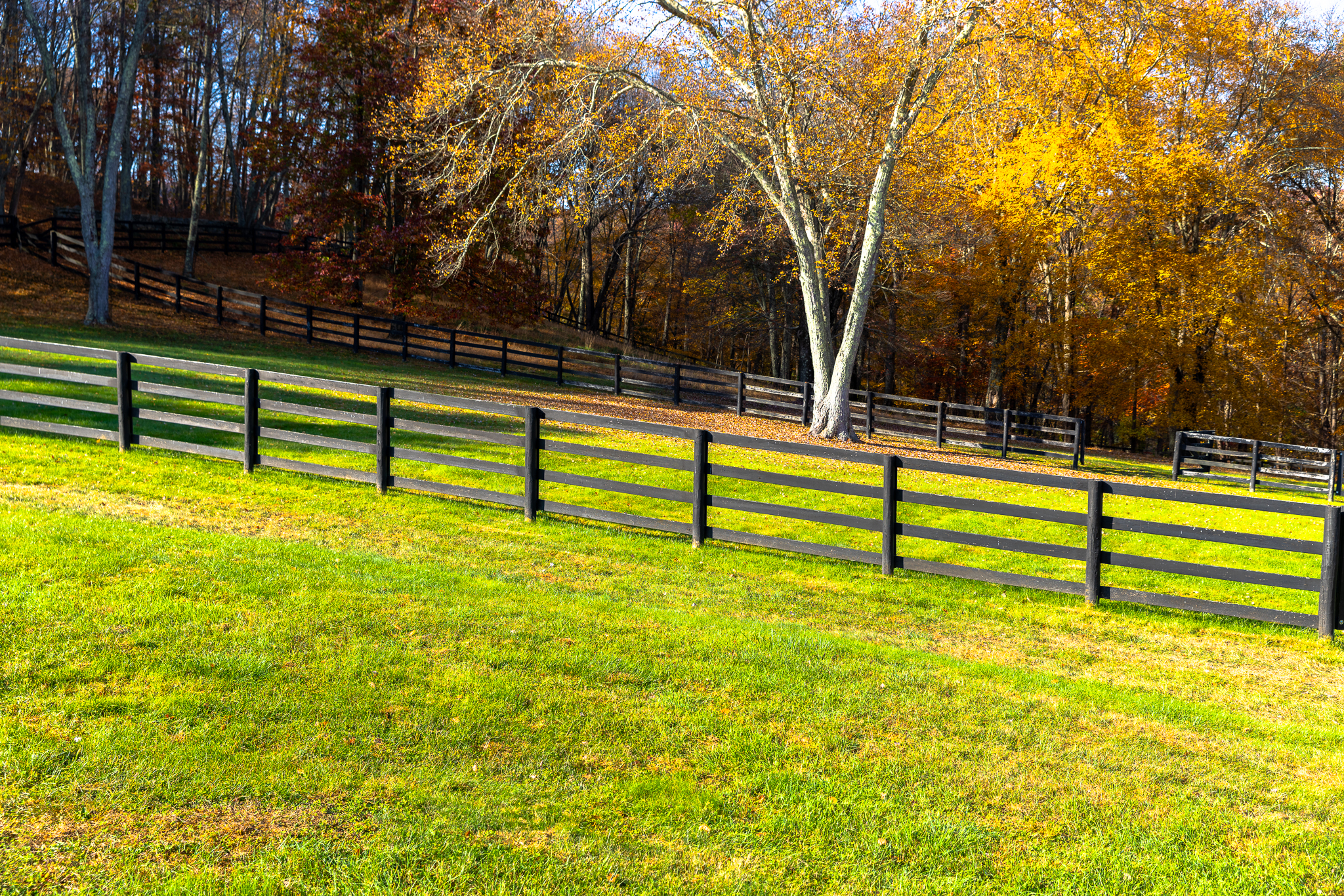Agricultural and Farm Fence Height Varies by Application