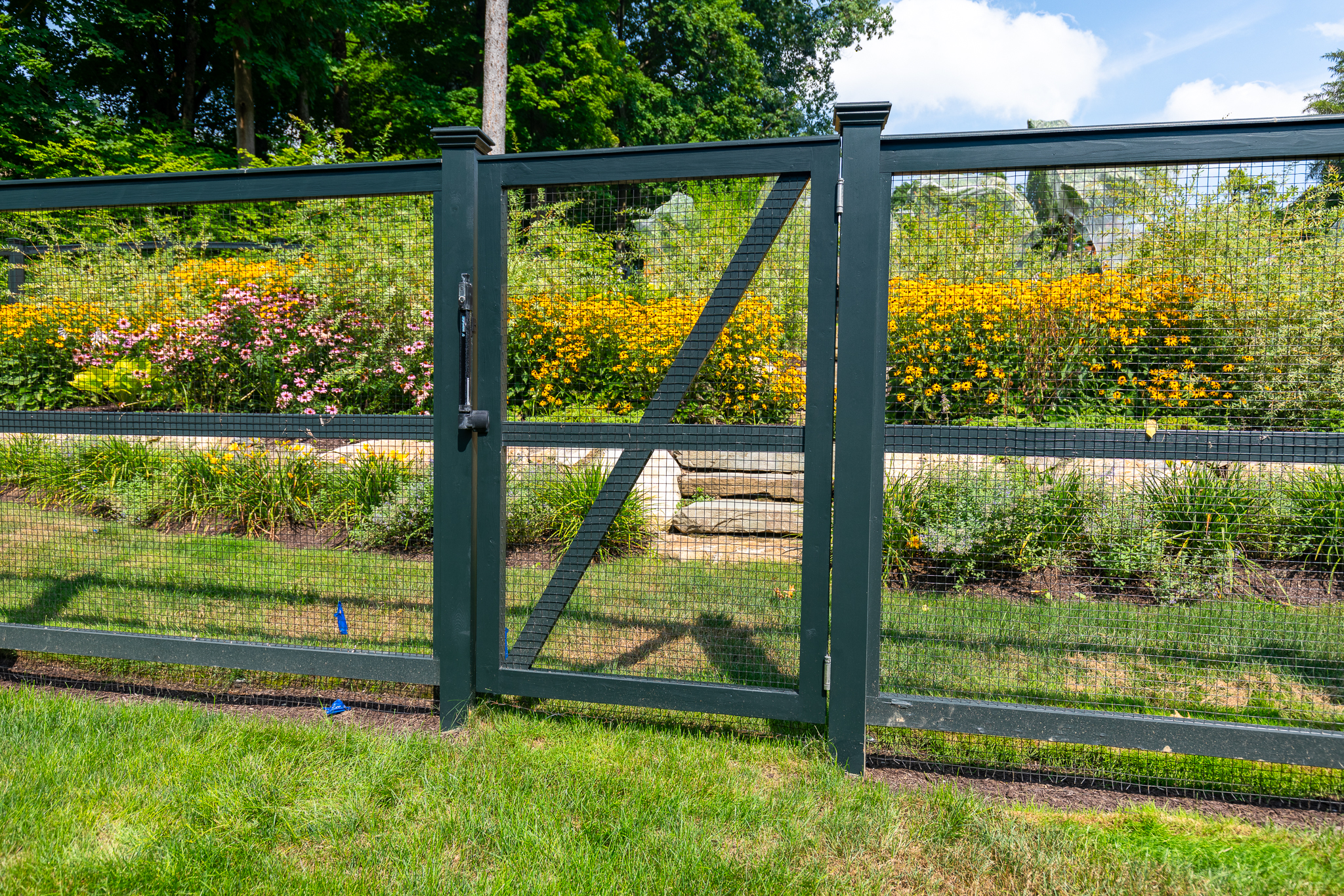 Dark Green Garden Fence Gate with Wire Enclosure