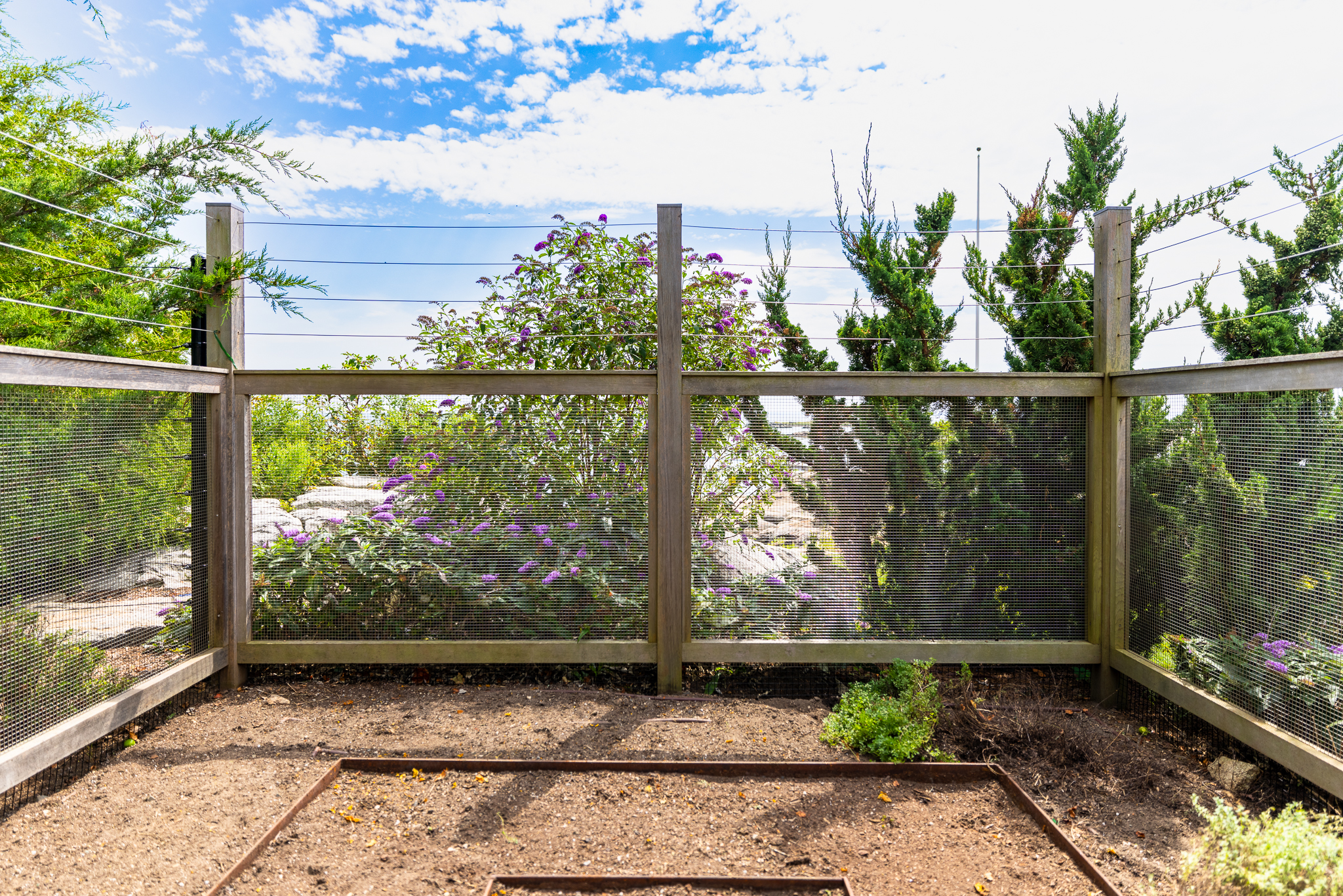 A Slightly Aged Cedar Garden Fence near Coastal Beach