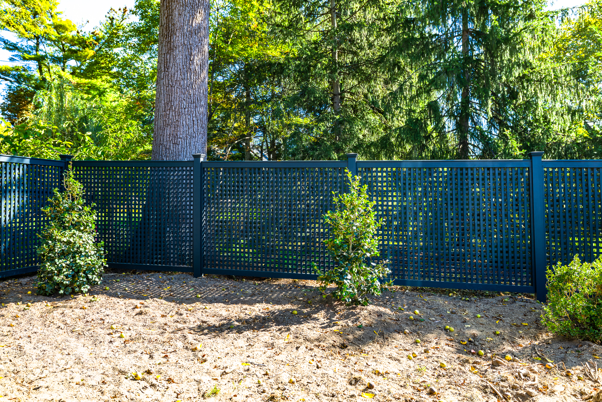 Custom Green Lattice-Style Fence